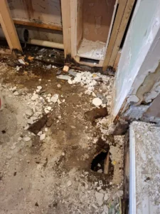 WhatsApp_Image_2025-10-30_at_11.32.19_AM-2166517