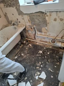 WhatsApp_Image_2025-10-30_at_11.37.05_AM-2167505